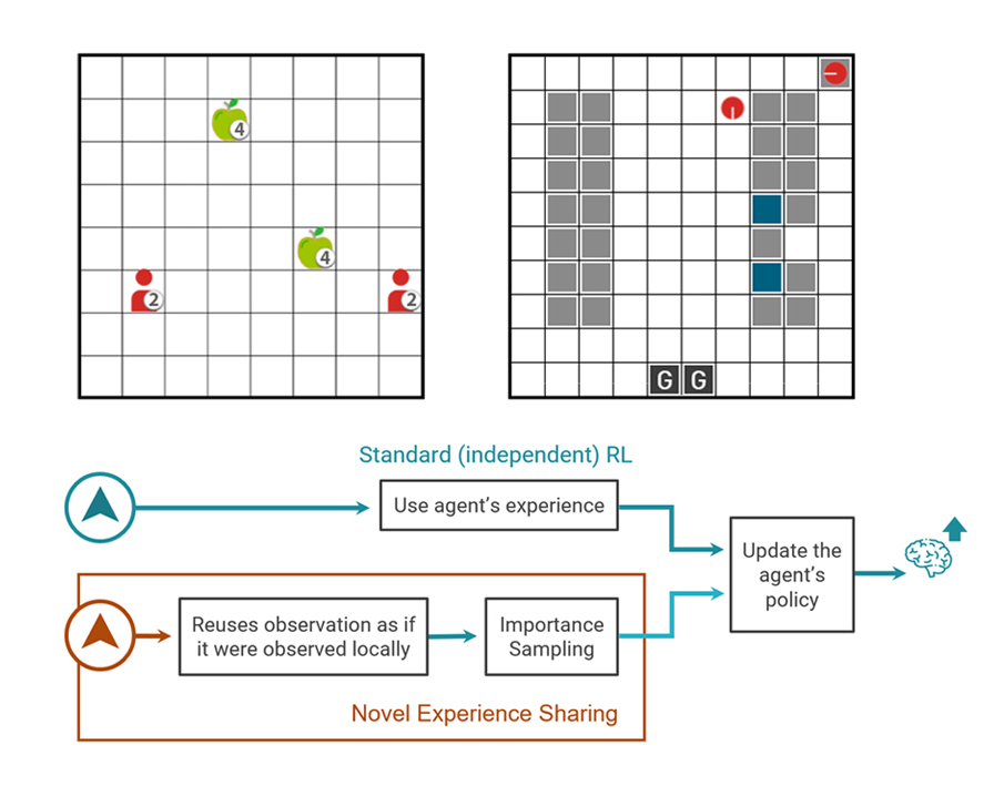 The Multi-Robot Warehouse and Level-Based Foraging Environments